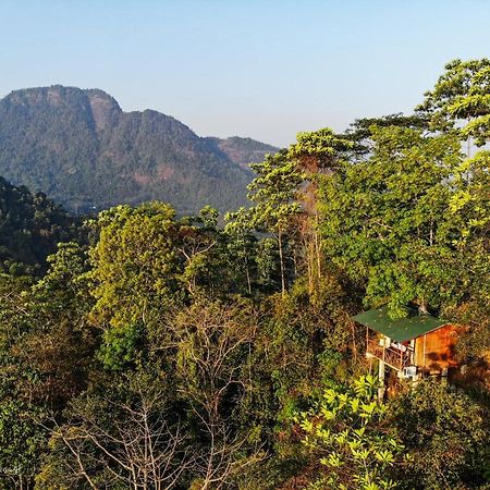 Tree Houses By Jungle River Ginigathena Eksteriør bilde