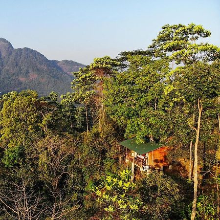 Tree Houses By Jungle River Ginigathena Eksteriør bilde