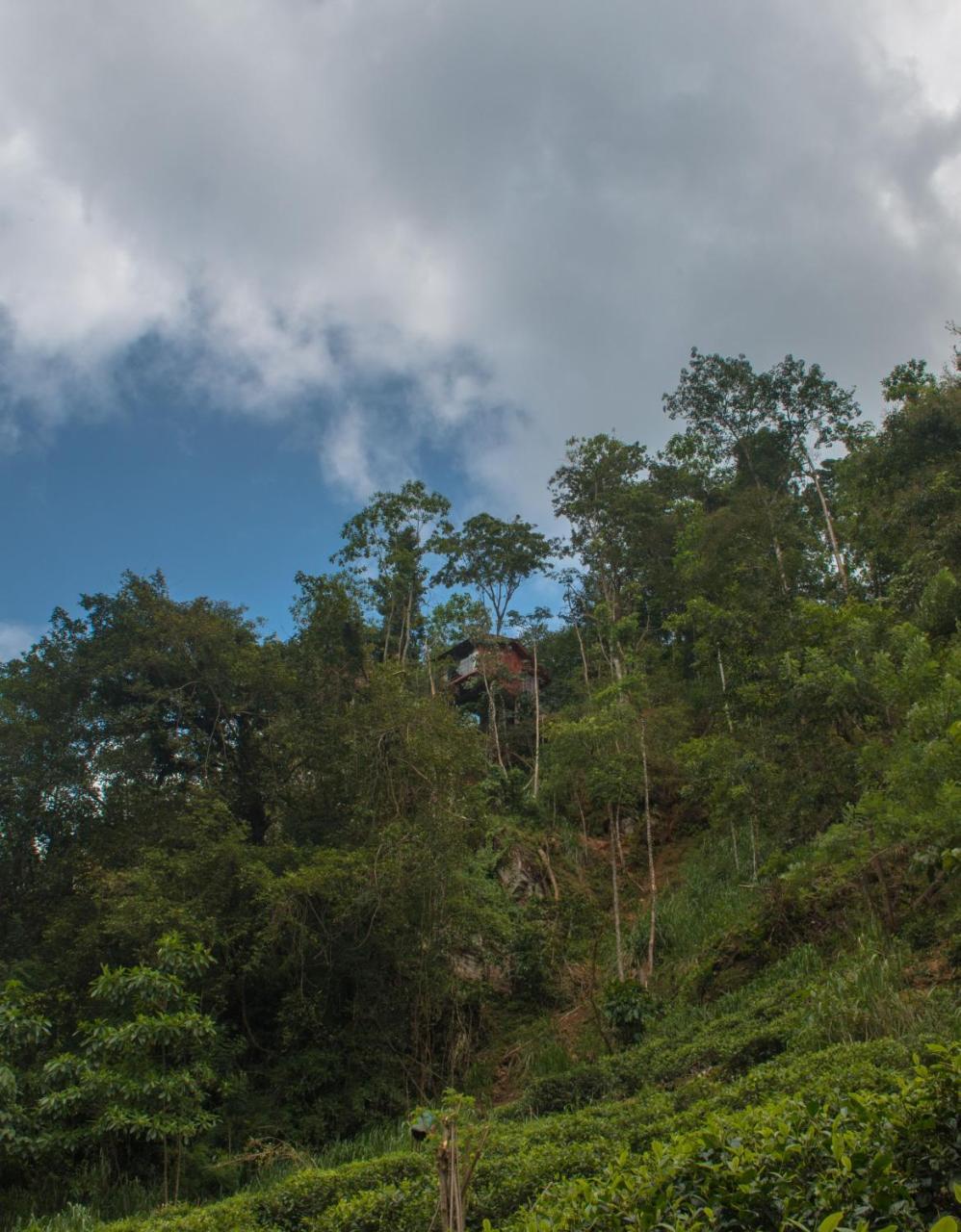 Tree Houses By Jungle River Ginigathena Eksteriør bilde