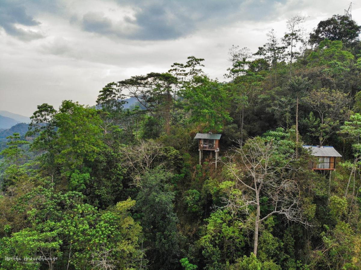 Tree Houses By Jungle River Ginigathena Eksteriør bilde