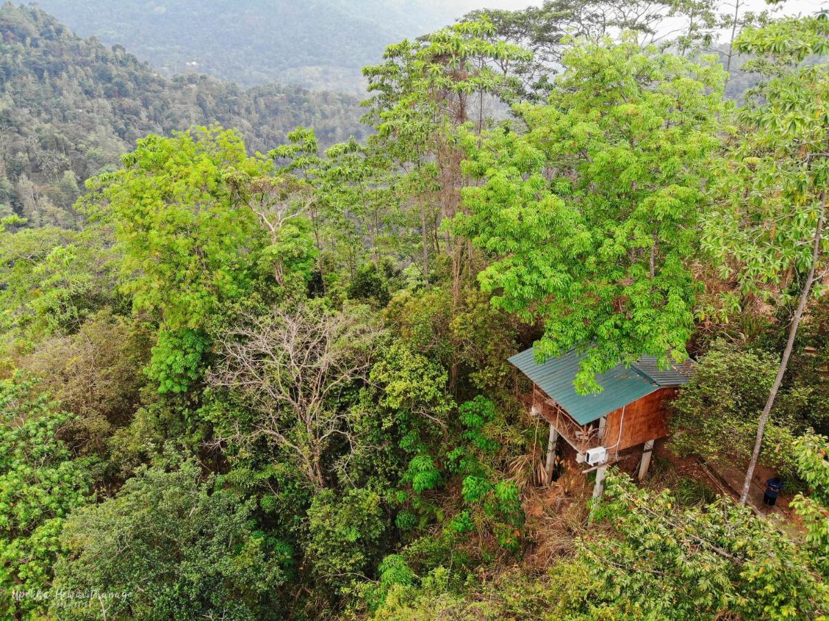 Tree Houses By Jungle River Ginigathena Eksteriør bilde