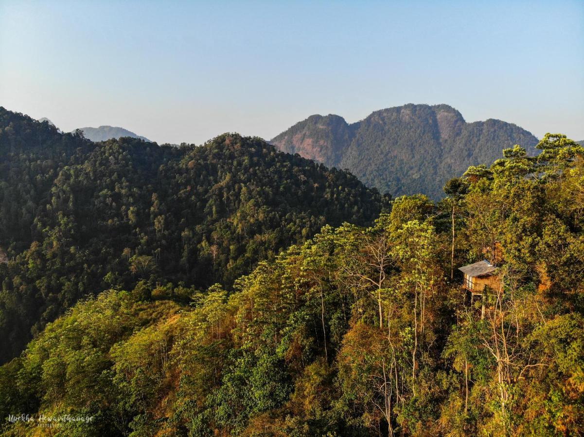 Tree Houses By Jungle River Ginigathena Eksteriør bilde