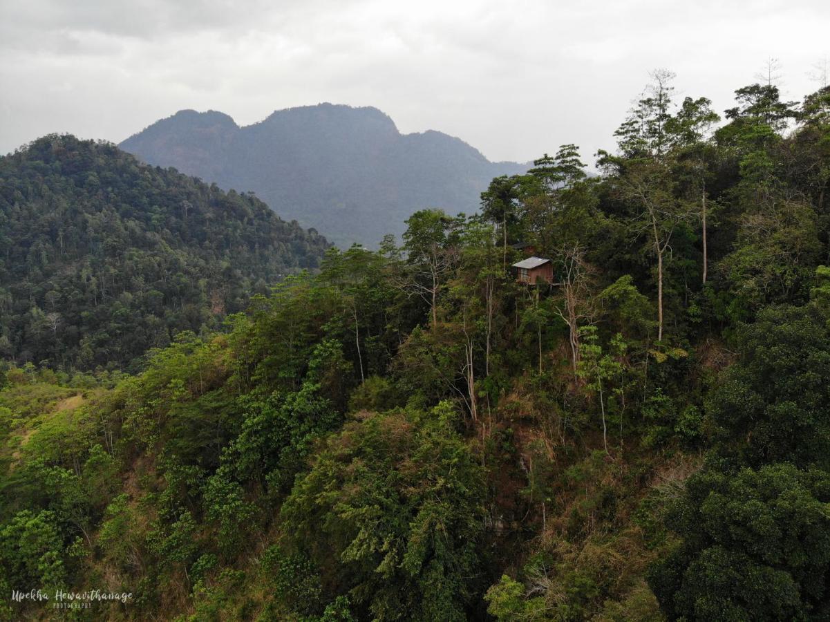 Tree Houses By Jungle River Ginigathena Eksteriør bilde