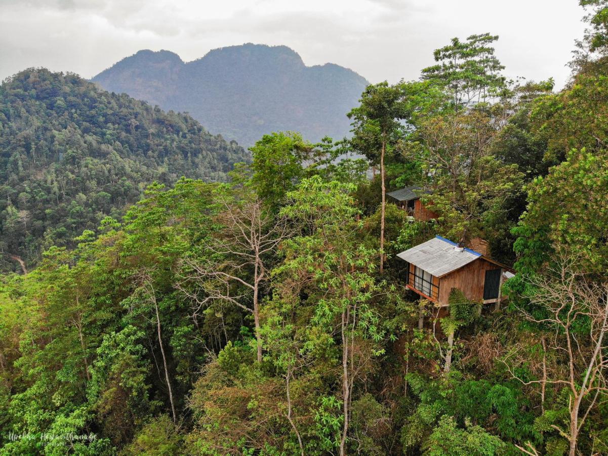 Tree Houses By Jungle River Ginigathena Eksteriør bilde