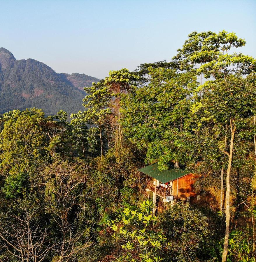 Tree Houses By Jungle River Ginigathena Eksteriør bilde